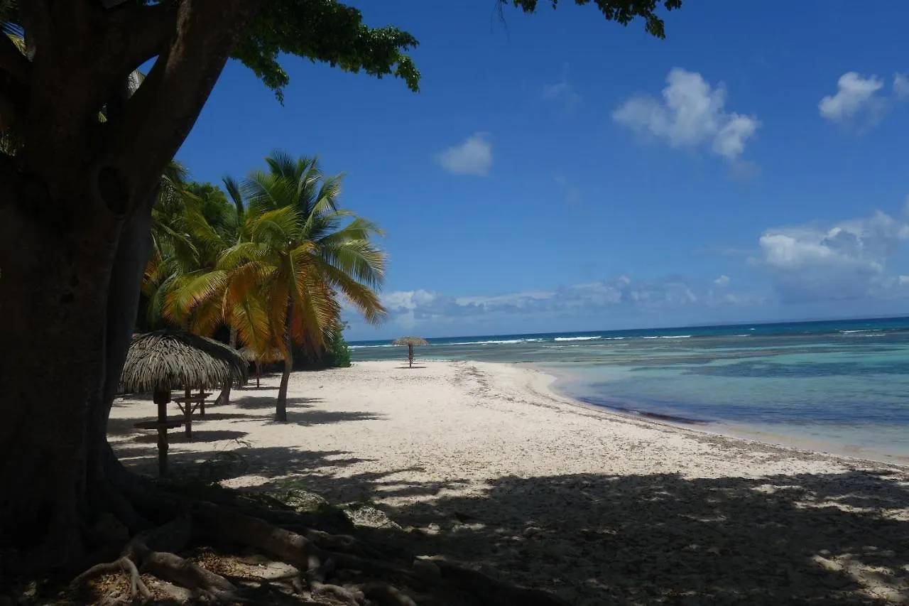 Les Floralies Gwada -3 - Magnifique Vue Mer- Avec Cuve A Eau Saint-Francois  0*, Saint-Francois (Grande-Terre)